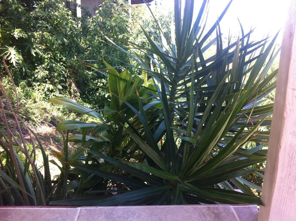 Sunset Gardens Guesthouse Contant  Екстериор снимка